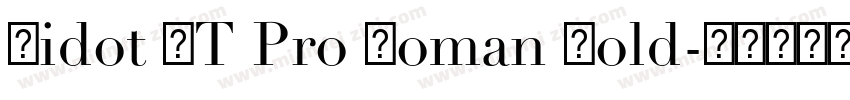 Didot LT Pro Roman Bold字体转换